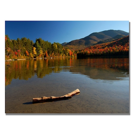 Nicole Dietz 'The Adirondack Driftwood' Canvas Art,30x47